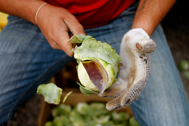 Dieta baja en lípidos, es más efectiva para perder peso que la de carbohidratos