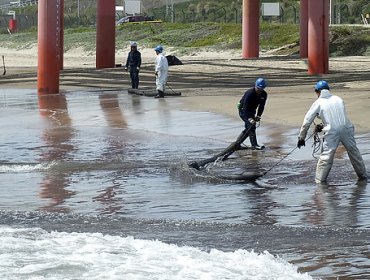 Nuevo derrame de petróleo en Quintero activa plan de contingencia