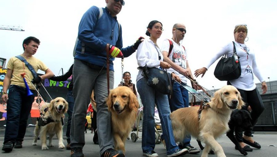 Invidentes protestan en Bogotá por muerte de ciego en sistema de transporte