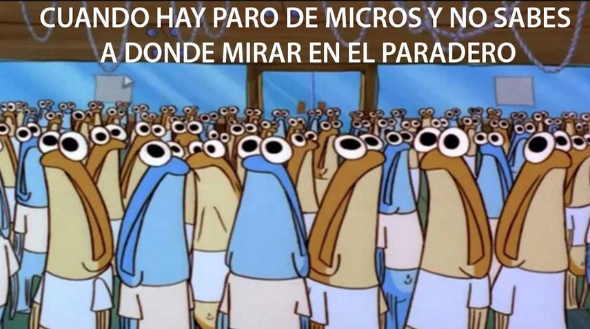 Revisa los divertidos memes que dejó el paro de micros en Valparaíso