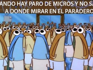 Revisa los divertidos memes que dejó el paro de micros en Valparaíso