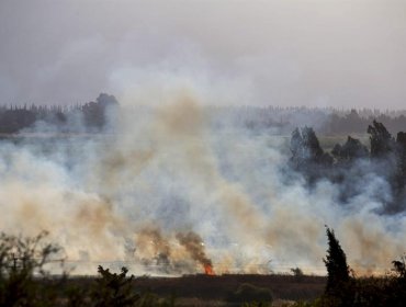 Estado Islámico destruye un monasterio en Siria y traslada a 110 secuestrados