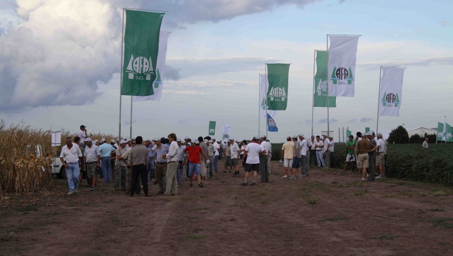 Campo argentino va a la huelga para exigir cambios en política agropecuaria