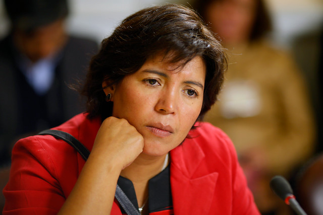 Diputada Provoste apoya postergación de reforma a la educación superior