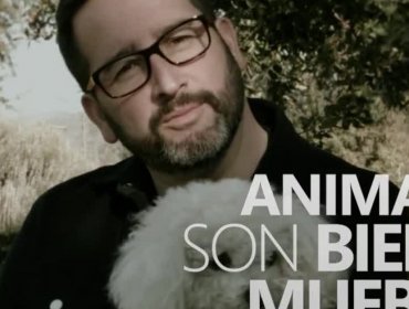 VÍDEO: La campaña de busca que los animales sean bienes sintientes.