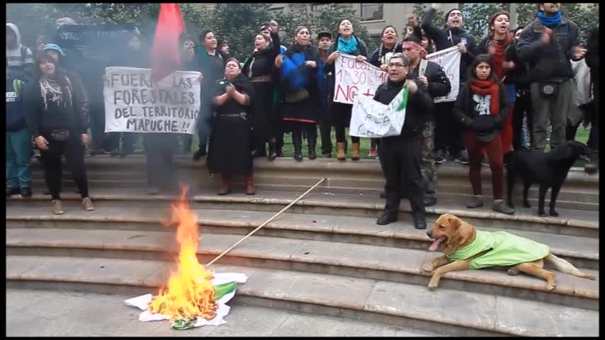 Video: Así se vivió la jornada de protesta entre manifestantes que apoyaban a los camioneros y comunidades mapuches.