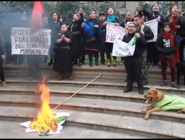 Video: Así se vivió la jornada de protesta entre manifestantes que apoyaban a los camioneros y comunidades mapuches.