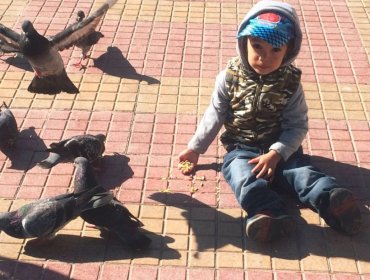 El mensaje de la sospechosa por crimen de niño en Molina que indignó a cibernautas