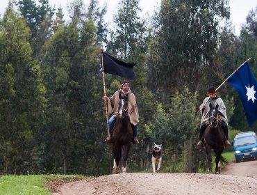 Comuneros mapuche ingresaron al fundo El Hualle en Cañete