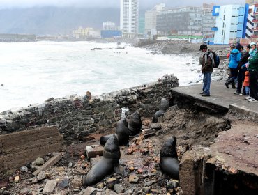 Armada alerta de fuertes marejadas en el borde costero