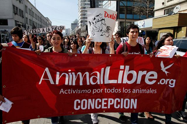 Un centenar de personas protestó contra el rodeo en Concepción