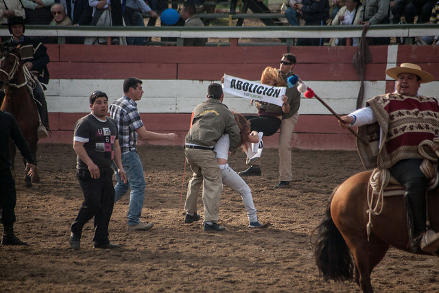 Animalistas rechazan financiamiento estatal al rodeo y marchan en diez ciudades