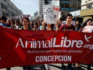 Un centenar de personas protestó contra el rodeo en Concepción