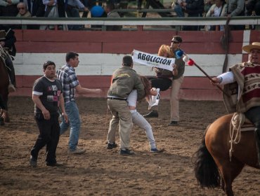 Animalistas rechazan financiamiento estatal al rodeo y marchan en diez ciudades