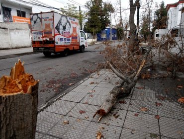 Onemi decreta Alerta Temprana Preventiva en la Región de Atacama por fuertes vientos