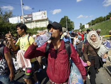 Gobierno estaría evaluando acoger refugiados sirios en Chile