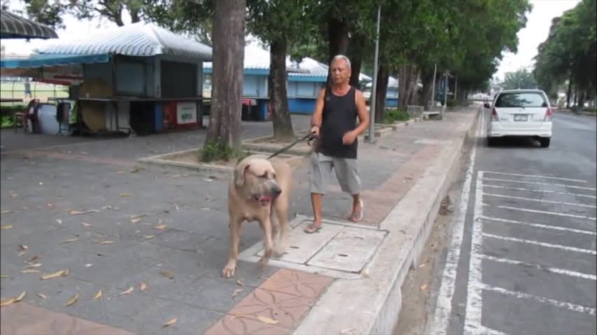 Video: La madre siempre dará todo por sus hijos