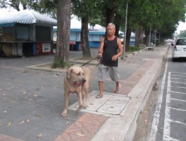 Video: La madre siempre dará todo por sus hijos