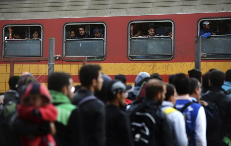 Gobierno anunció que recibirá a refugiados sirios por crisis humanitaria