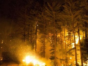 Un incendio calcina casi 40.000 hectáreas cerca de un parque natural en EEUU