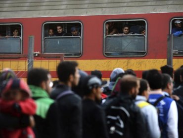 Gobierno anunció que recibirá a refugiados sirios por crisis humanitaria