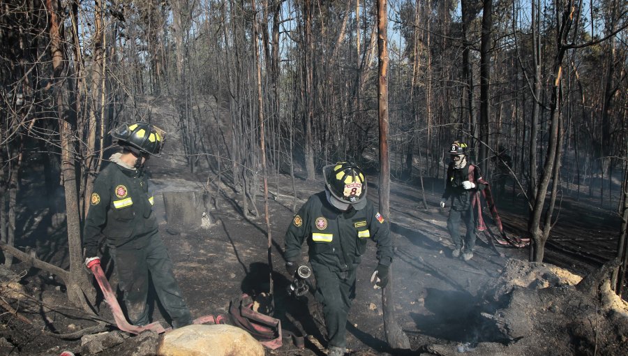 Condenan a 5 años de cárcel a autor de incendio forestal en San Antonio