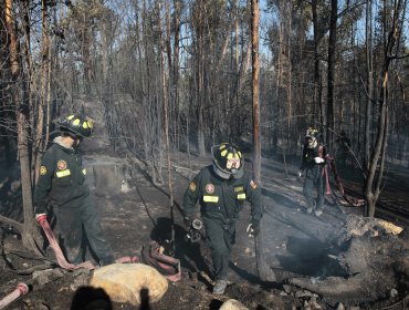 Condenan a 5 años de cárcel a autor de incendio forestal en San Antonio