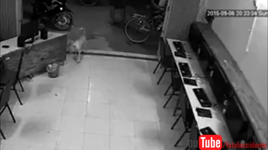 Video: Hombre recibe brutal merecido por querer golpear a un animal