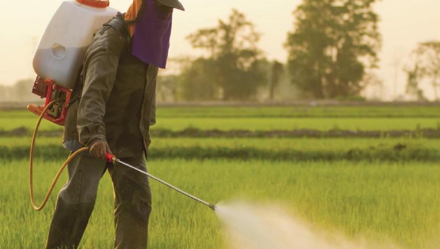 Monsanto condenado en Francia por la intoxicación de un agricultor con Lasso