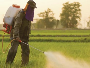 Monsanto condenado en Francia por la intoxicación de un agricultor con Lasso