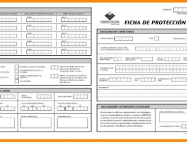 Desde enero próximo regirá sistema que reemplaza a Ficha de Protección Social