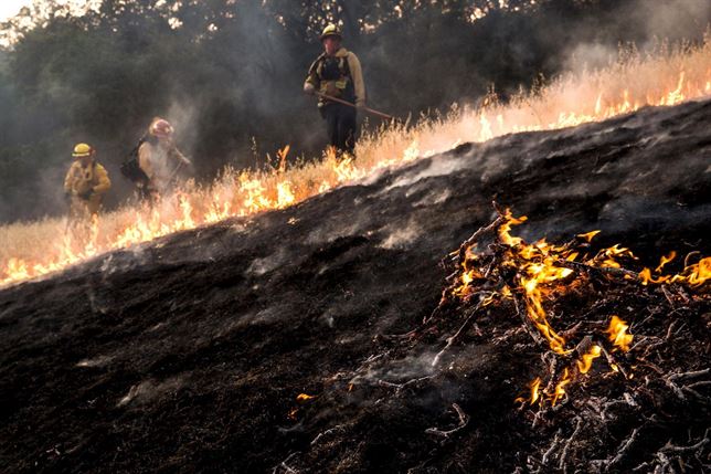 Declaran estado de emergencia en California (EE.UU.) por incendios forestales