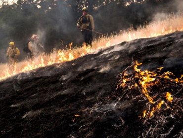 Declaran estado de emergencia en California (EE.UU.) por incendios forestales