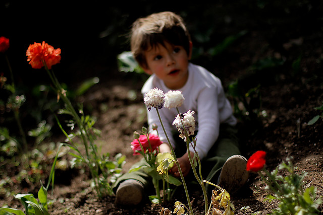 Este lunes 21 de septiembre no comienza la primavera: Lo hará el próximo miércoles 23