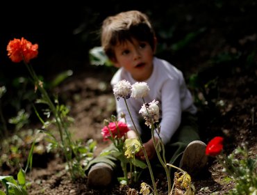 Este lunes 21 de septiembre no comienza la primavera: Lo hará el próximo miércoles 23