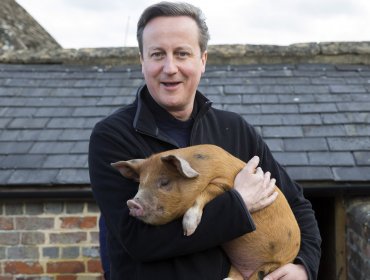 Memes: Biografía no autorizada de David Cameron revela práctica sexual con un cerdo