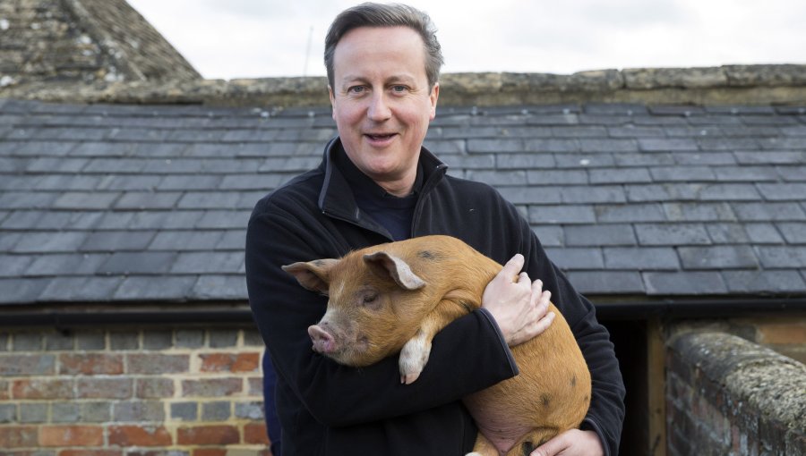 Memes: Biografía no autorizada de David Cameron revela práctica sexual con un cerdo