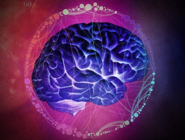 La lesión cerebral traumática produce respuesta inflamatoria en el hígado