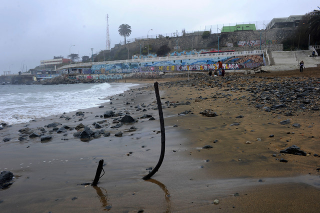 Inician sumario contra Esval por derrame de aguas servidas en Las Torpederas