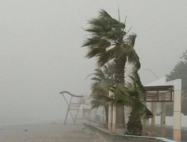 Inusual tormenta de arena se registra en Mejillones