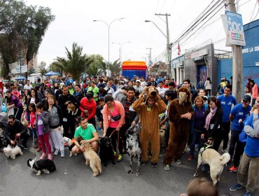 Municipio de Quinta Normal celebró centenario con “Perrotón”