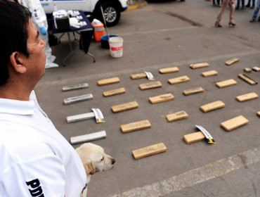 Incautan más de 110 dosis de droga en operativo en ruta de acceso a Santiago