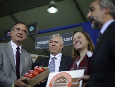 El tomate de Limache recibió sello de origen del Ministerio de Economía