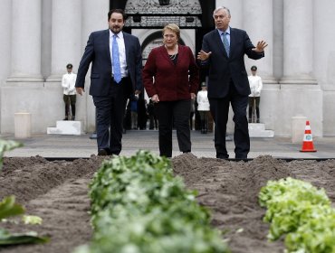 Presidenta lanzó Foods From Chile para la promoción internacional de alimentos