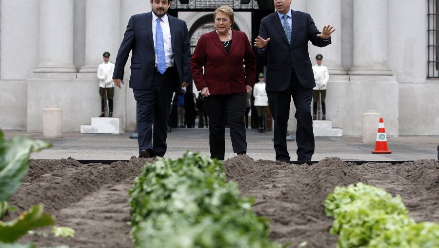 Presidenta lanzó Foods From Chile para la promoción internacional de alimentos