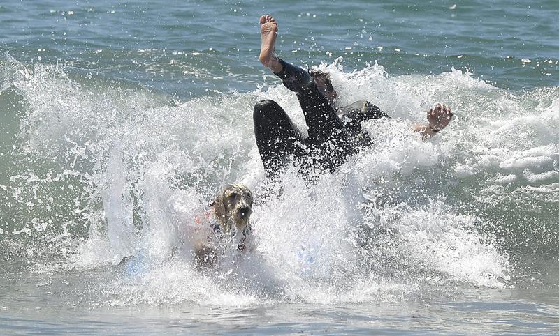 Municipio puertorriqueño Rincón organizará primer festival de surf de la isla