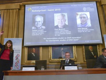 El Nobel de Química premia las investigaciones sobre la reparación del ADN