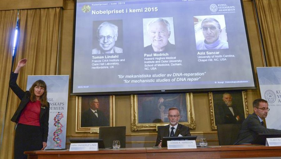 El Nobel de Química premia las investigaciones sobre la reparación del ADN