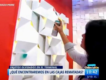 Pamela Díaz tiene desatada mañana en matinal de Chilevisión