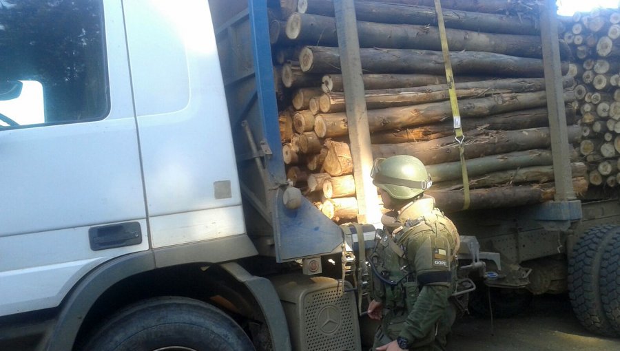 Capturan a once sospechosos por robo de 6 camiones cargados con madera